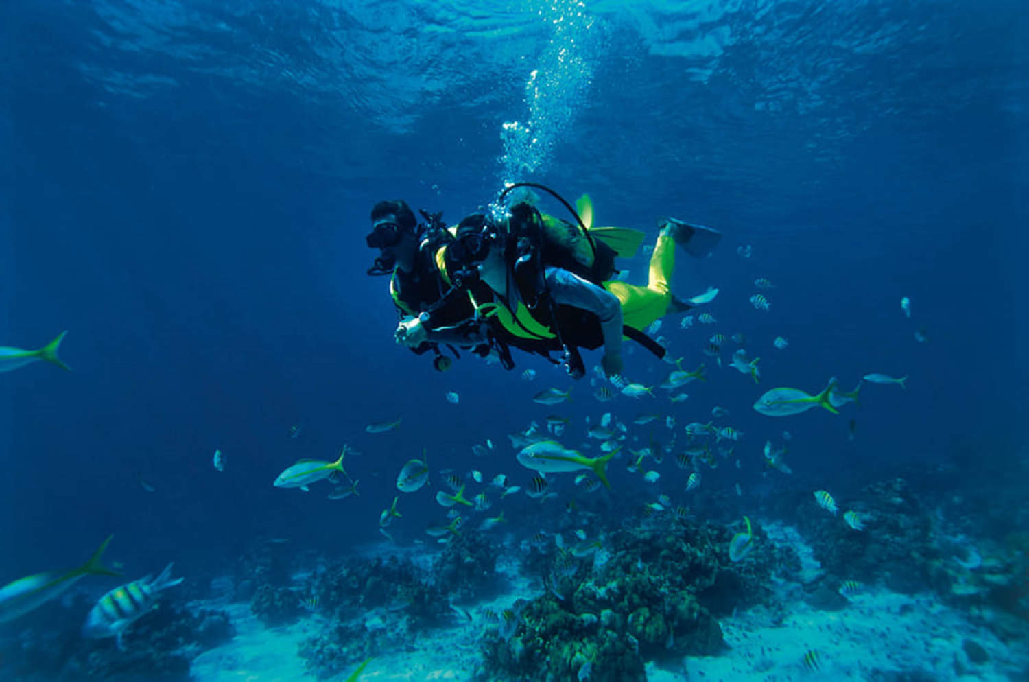 plongée a cayo 